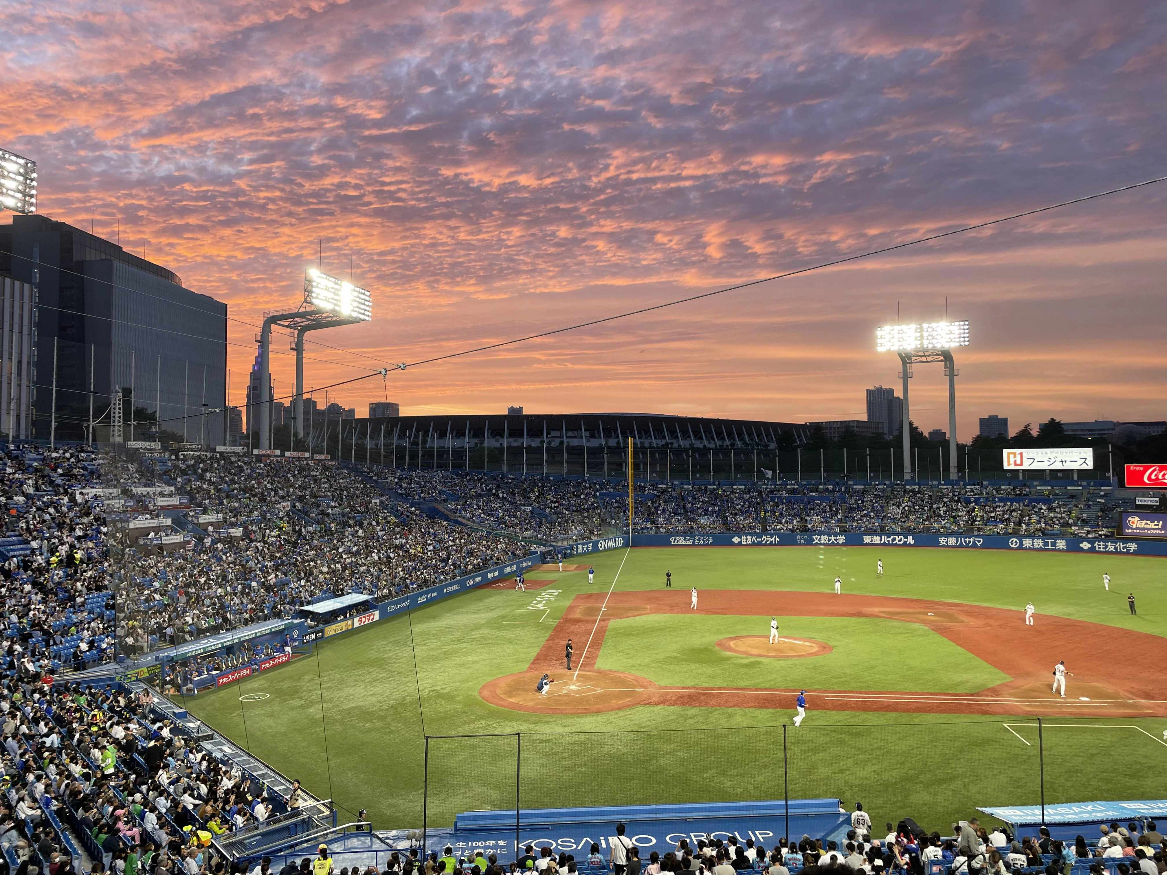 ⚾ 메이지 진구 야구장 이미지 8